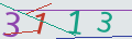 verifycode